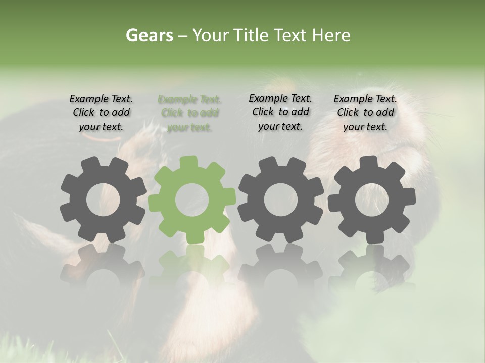 Scratch Puppydog Dog PowerPoint Template