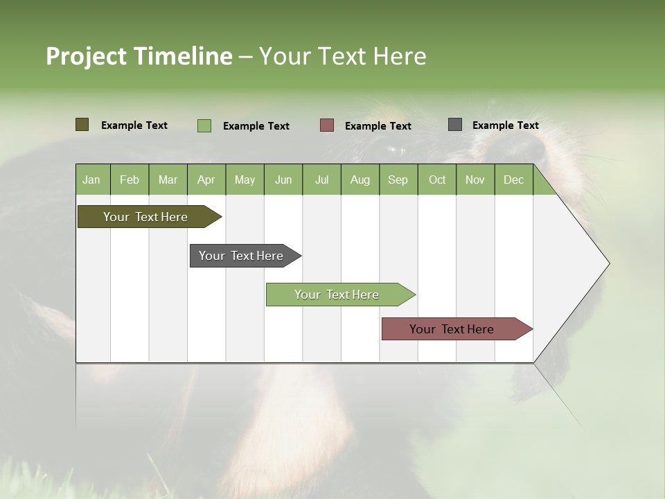 Scratch Puppydog Dog PowerPoint Template