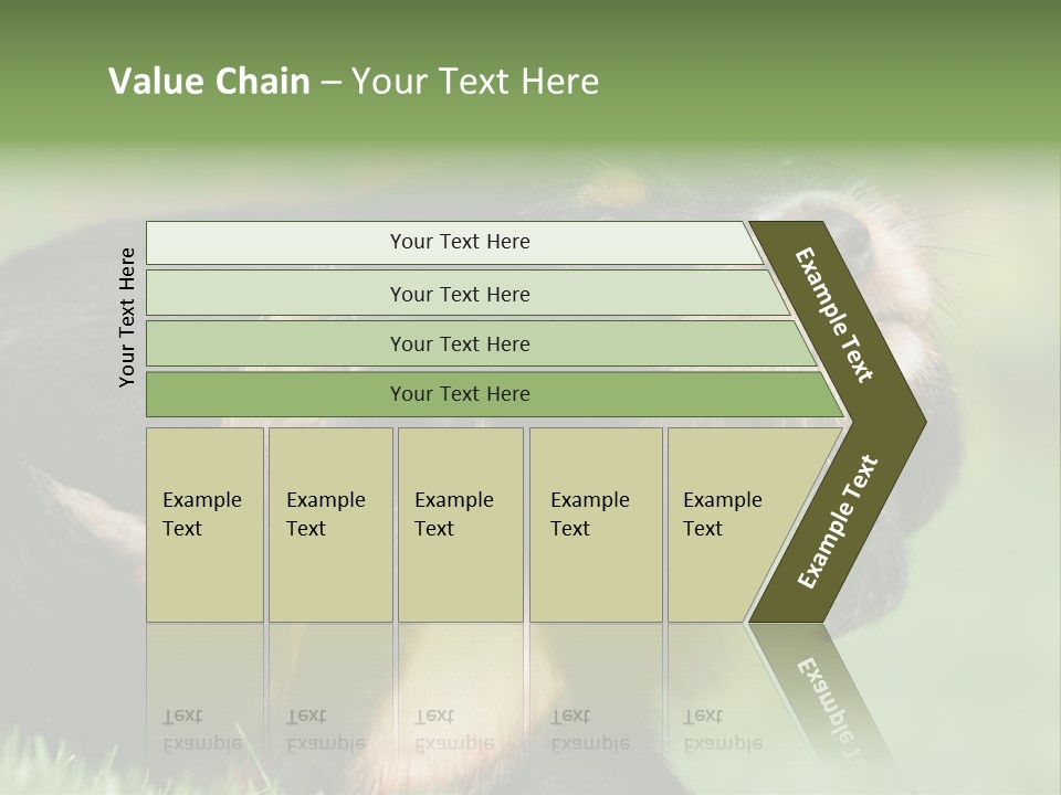 Scratch Puppydog Dog PowerPoint Template