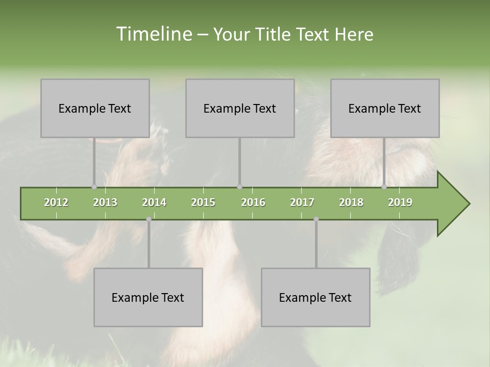 Scratch Puppydog Dog PowerPoint Template