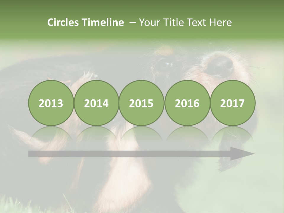 Scratch Puppydog Dog PowerPoint Template