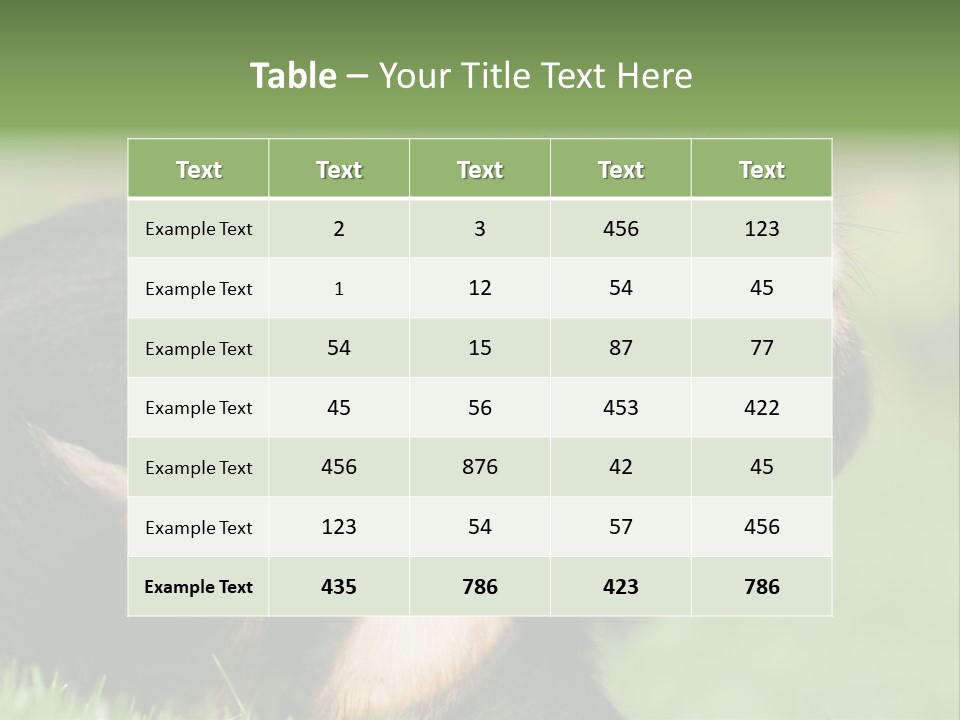 Scratch Puppydog Dog PowerPoint Template