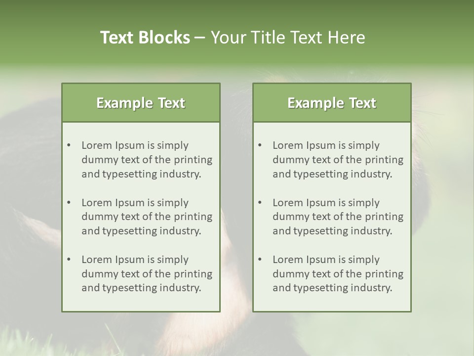 Scratch Puppydog Dog PowerPoint Template