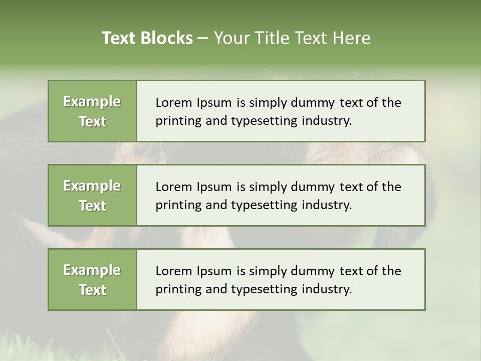 Scratch Puppydog Dog PowerPoint Template