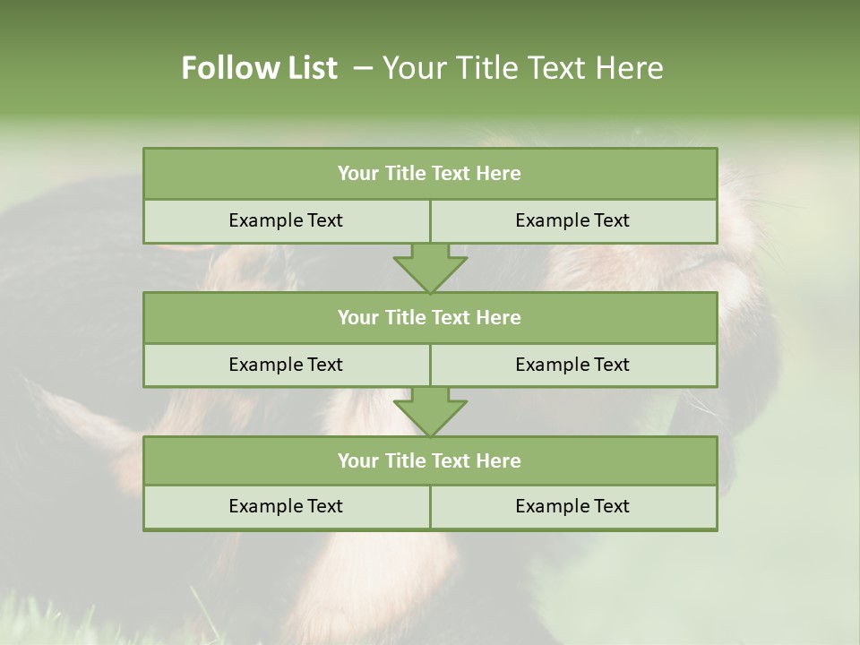 Scratch Puppydog Dog PowerPoint Template