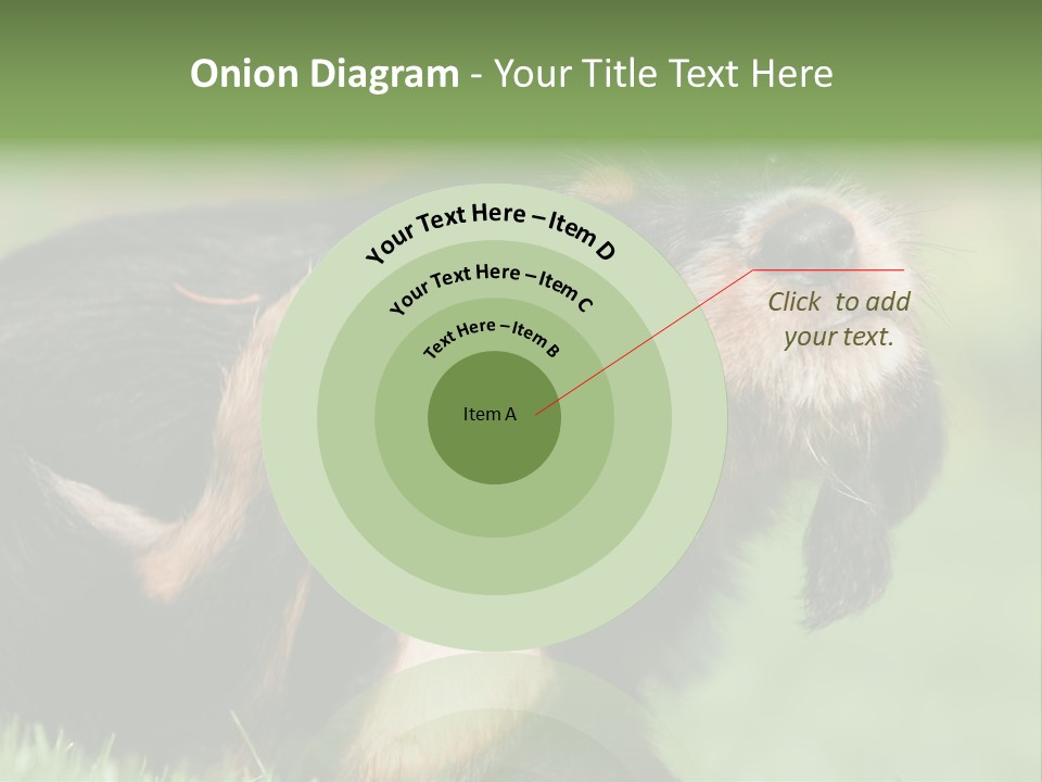 Scratch Puppydog Dog PowerPoint Template