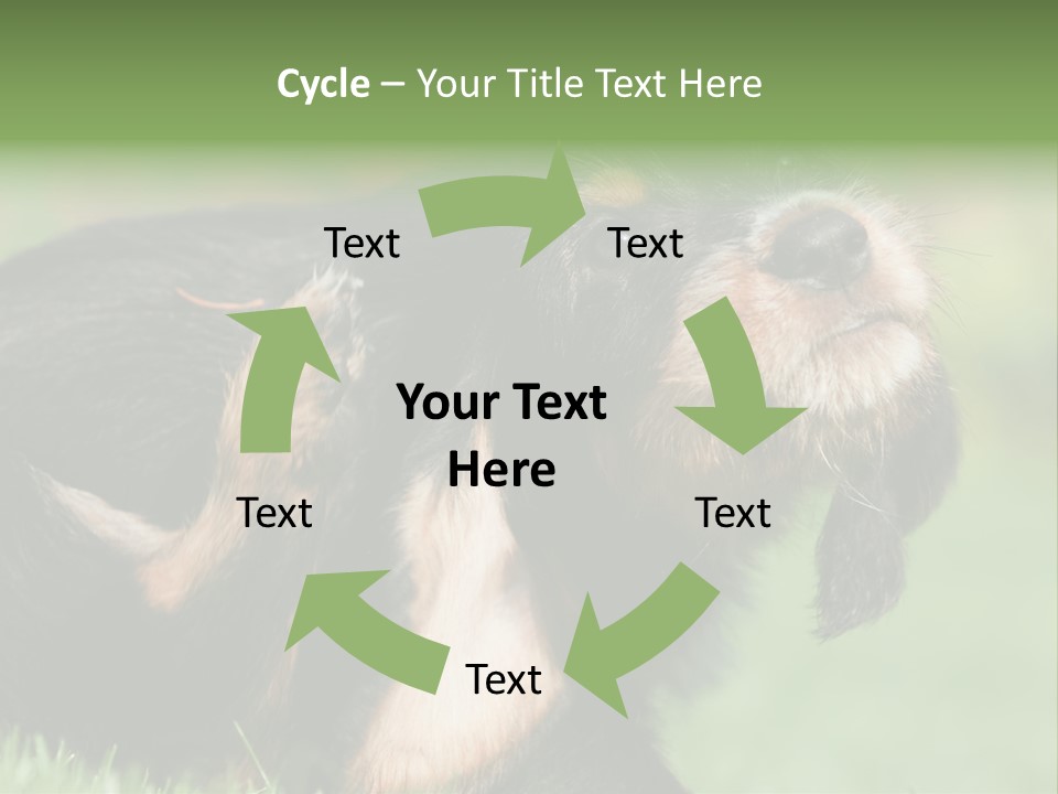 Scratch Puppydog Dog PowerPoint Template