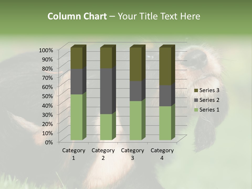Scratch Puppydog Dog PowerPoint Template