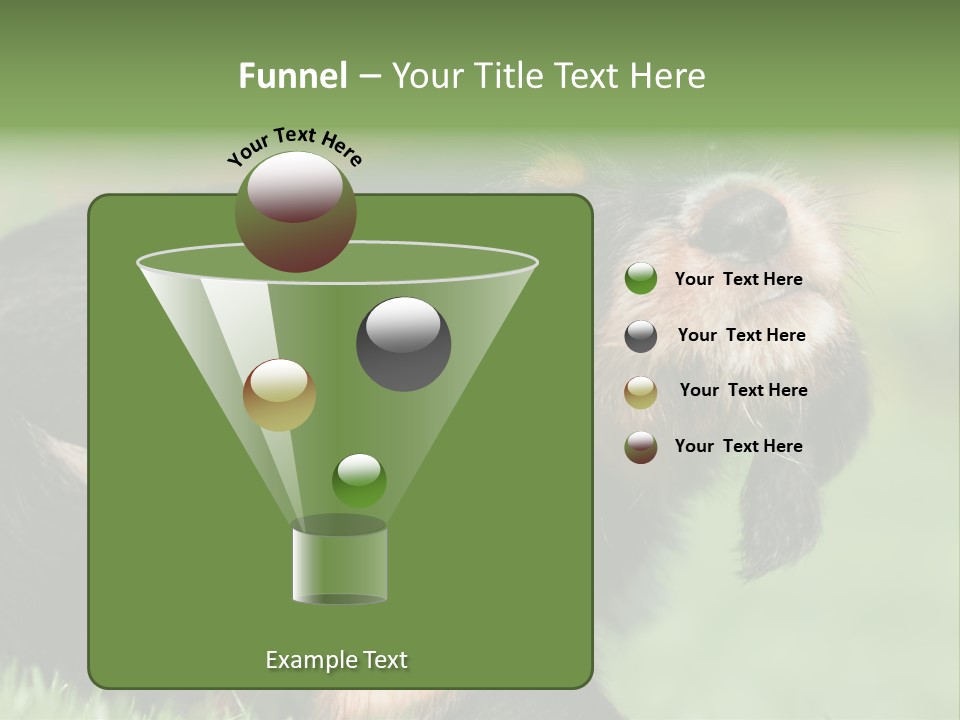 Scratch Puppydog Dog PowerPoint Template