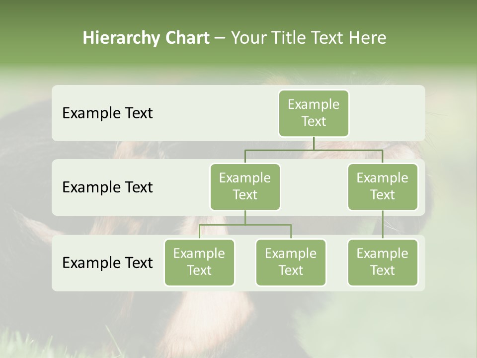Scratch Puppydog Dog PowerPoint Template