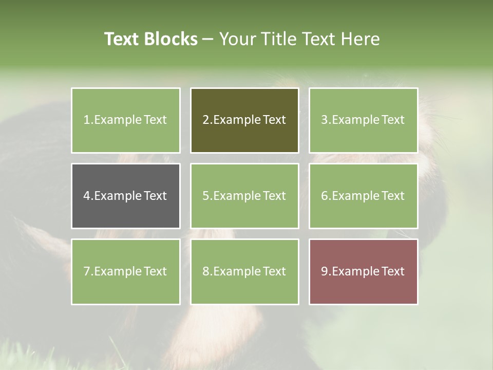 Scratch Puppydog Dog PowerPoint Template