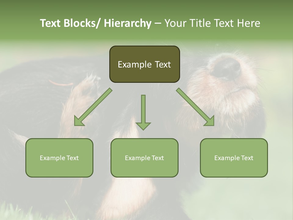 Scratch Puppydog Dog PowerPoint Template