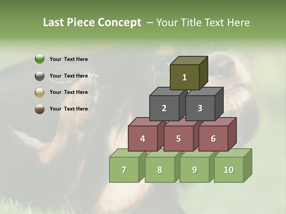 Scratch Puppydog Dog PowerPoint Template