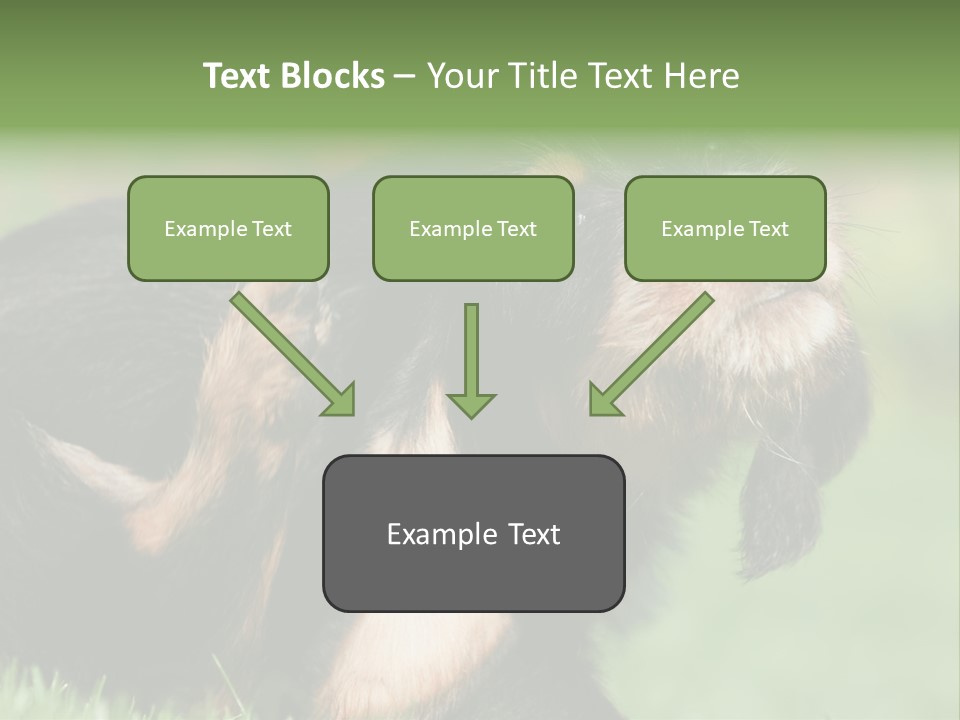 Scratch Puppydog Dog PowerPoint Template
