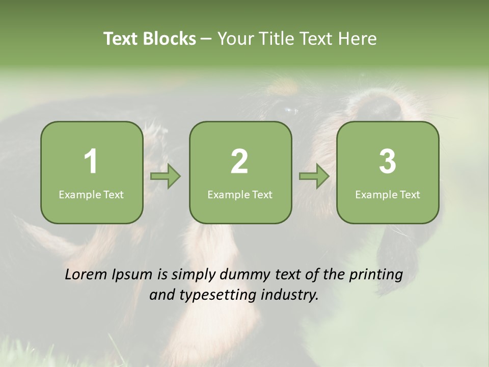 Scratch Puppydog Dog PowerPoint Template