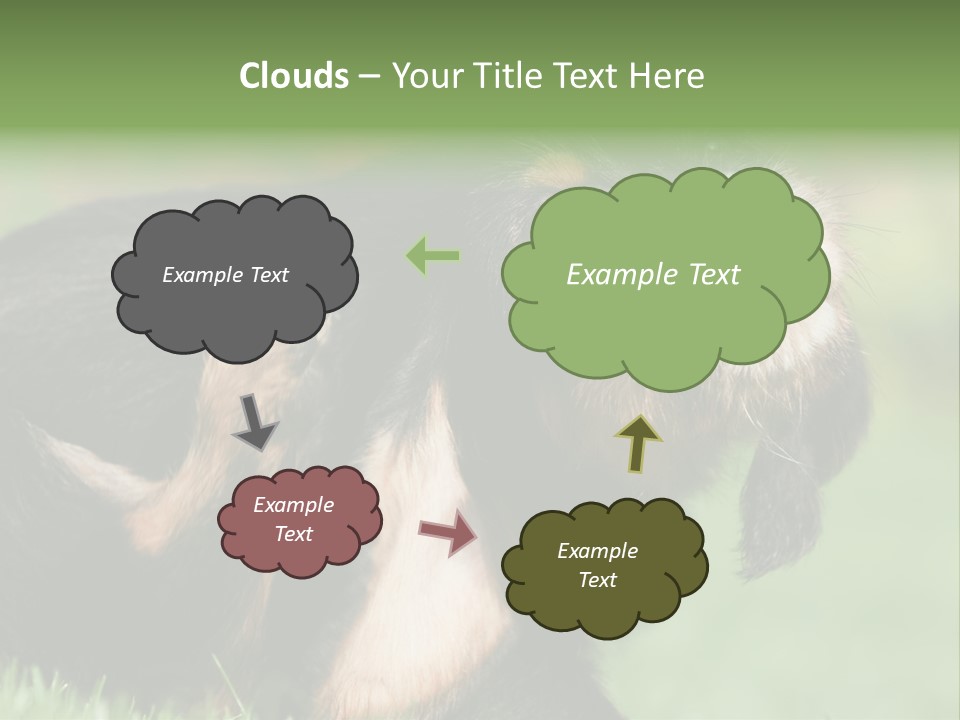 Scratch Puppydog Dog PowerPoint Template