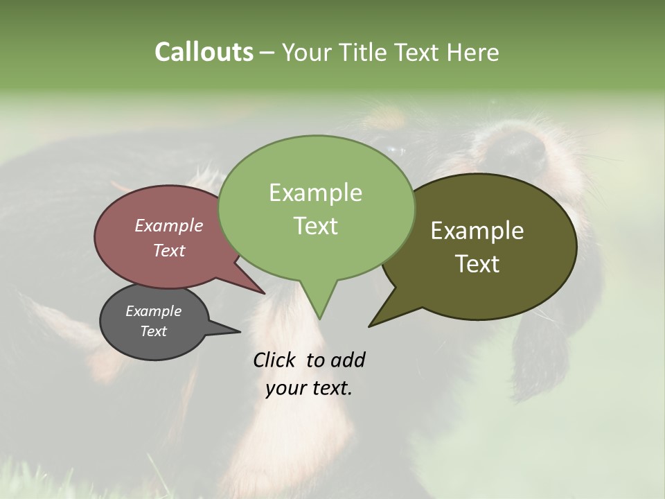 Scratch Puppydog Dog PowerPoint Template