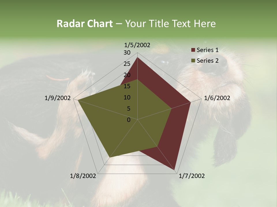 Scratch Puppydog Dog PowerPoint Template