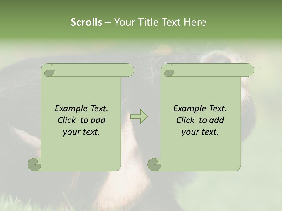 Scratch Puppydog Dog PowerPoint Template