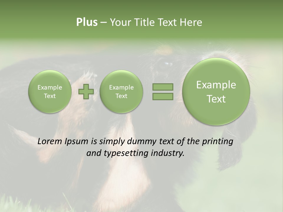 Scratch Puppydog Dog PowerPoint Template