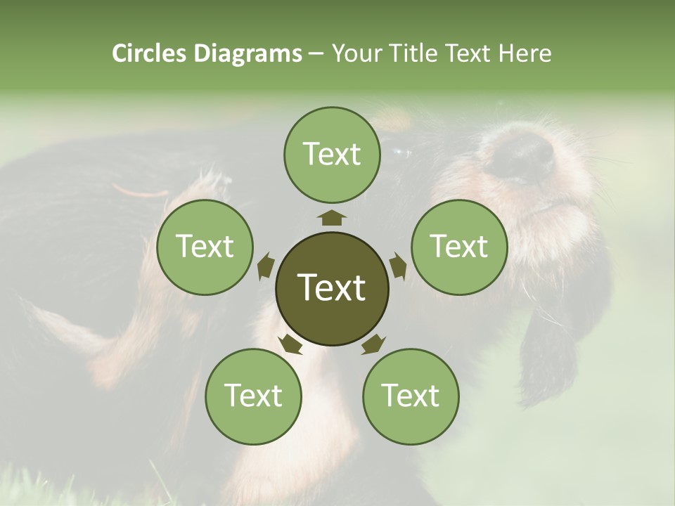 Scratch Puppydog Dog PowerPoint Template