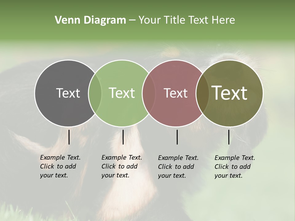 Scratch Puppydog Dog PowerPoint Template