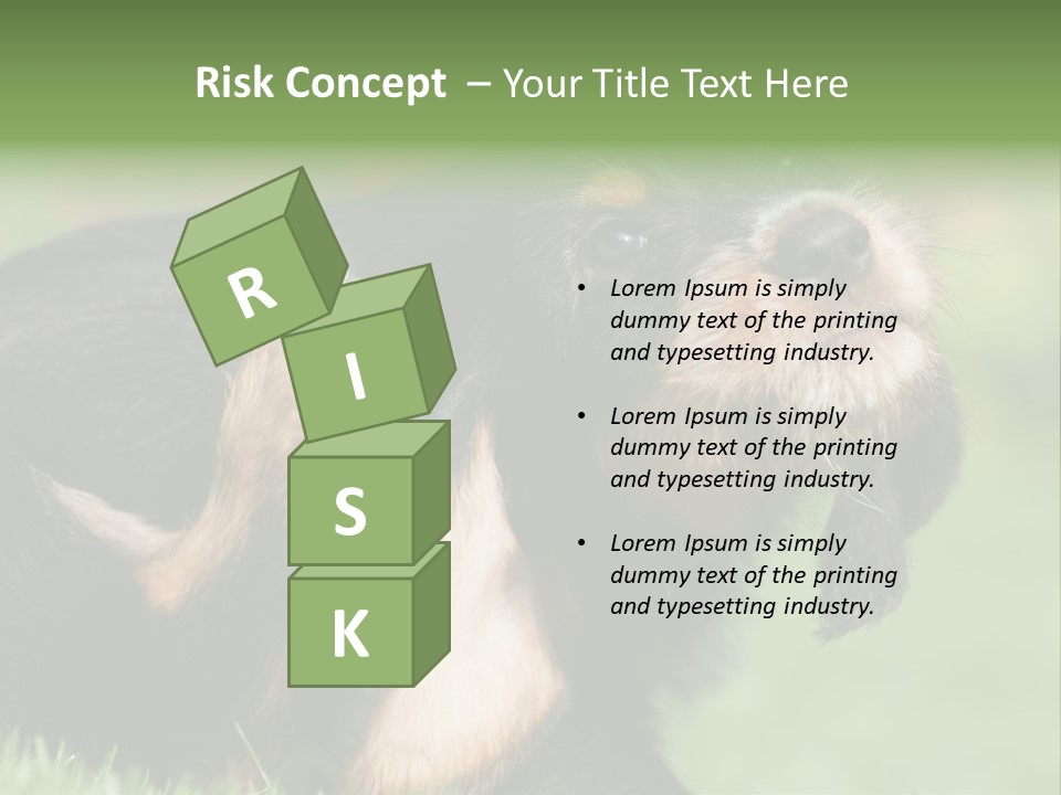 Scratch Puppydog Dog PowerPoint Template