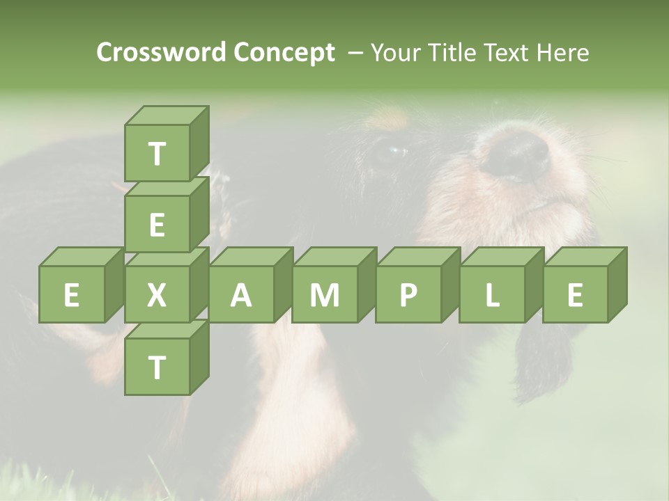 Scratch Puppydog Dog PowerPoint Template