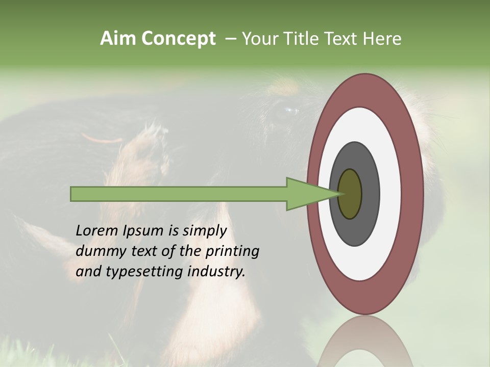 Scratch Puppydog Dog PowerPoint Template