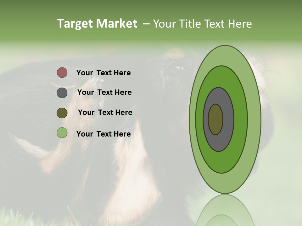 Scratch Puppydog Dog PowerPoint Template