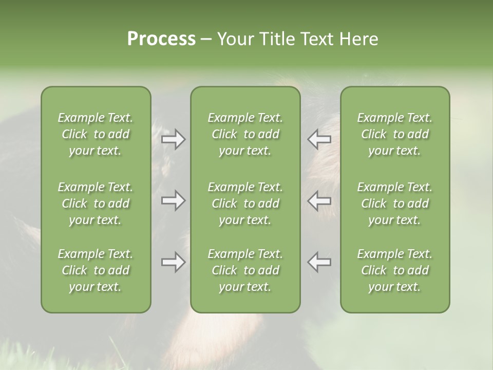 Scratch Puppydog Dog PowerPoint Template