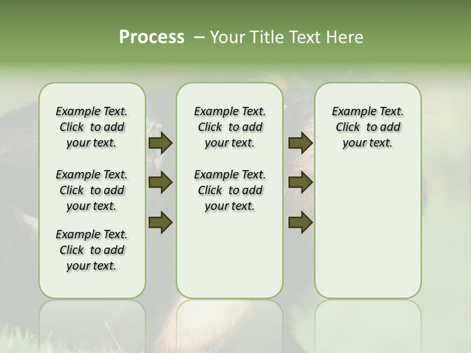 Scratch Puppydog Dog PowerPoint Template