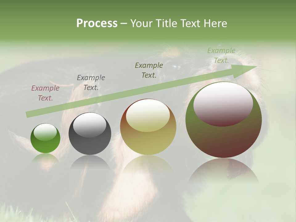 Scratch Puppydog Dog PowerPoint Template