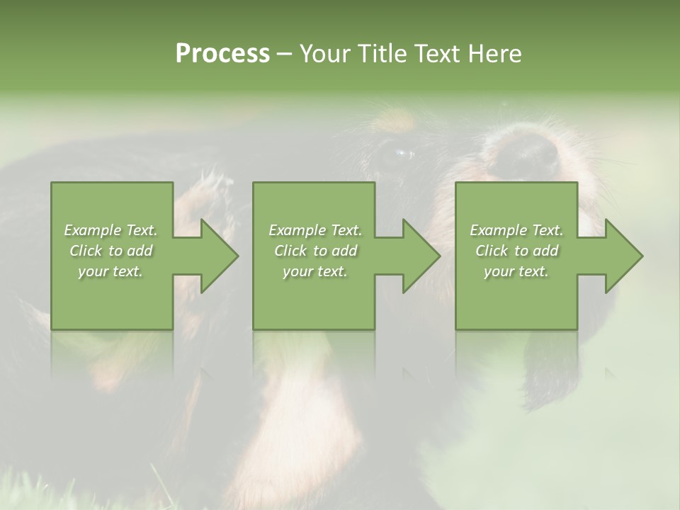 Scratch Puppydog Dog PowerPoint Template