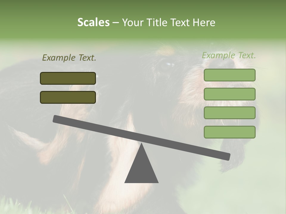 Scratch Puppydog Dog PowerPoint Template
