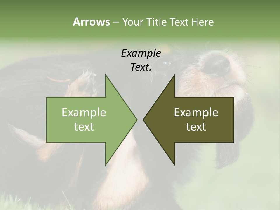 Scratch Puppydog Dog PowerPoint Template