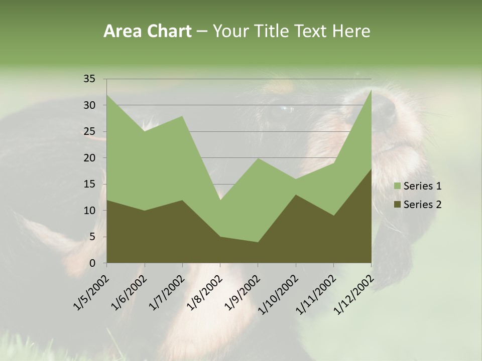 Scratch Puppydog Dog PowerPoint Template