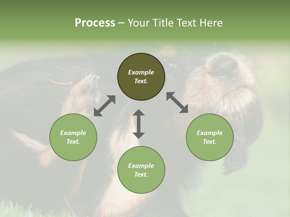 Scratch Puppydog Dog PowerPoint Template