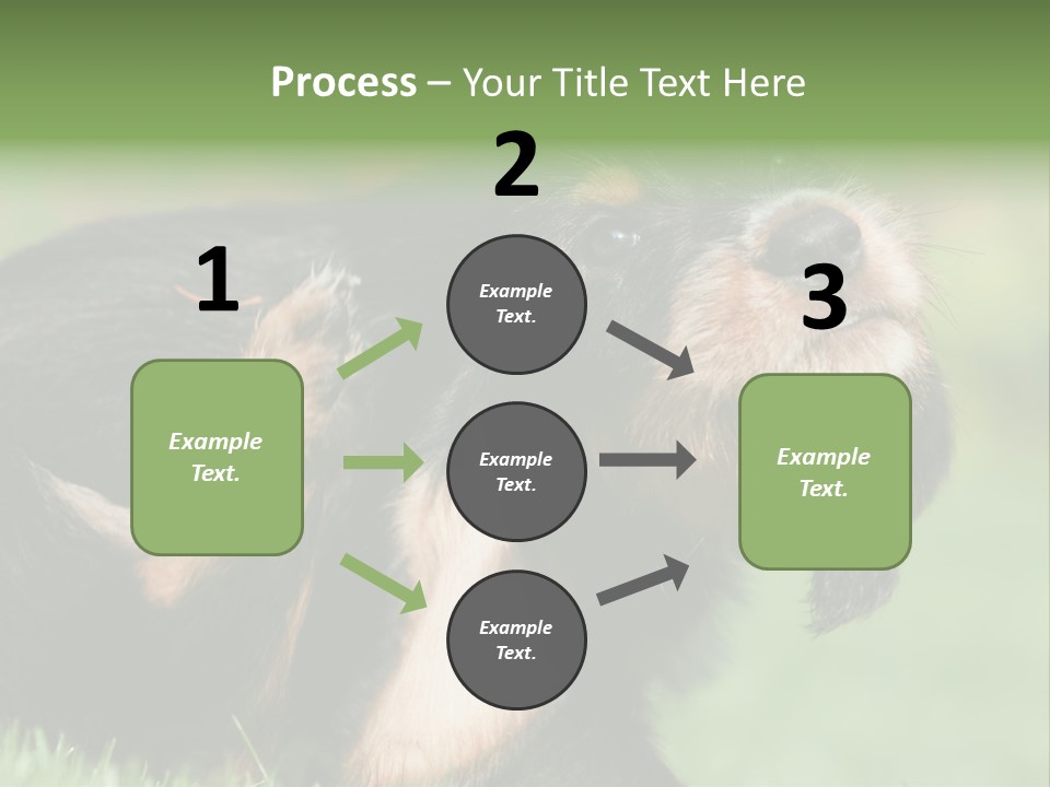 Scratch Puppydog Dog PowerPoint Template