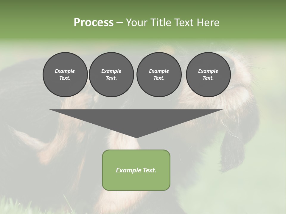 Scratch Puppydog Dog PowerPoint Template
