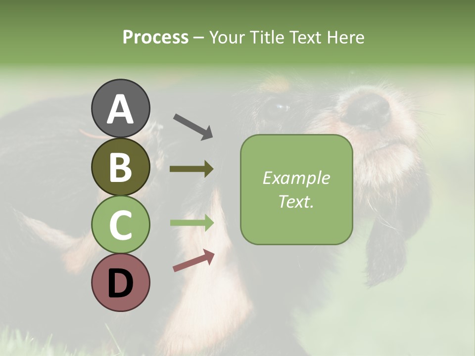 Scratch Puppydog Dog PowerPoint Template