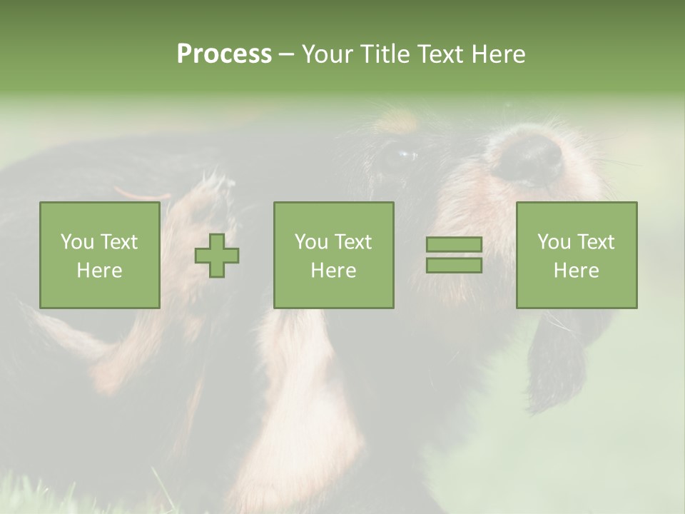 Scratch Puppydog Dog PowerPoint Template