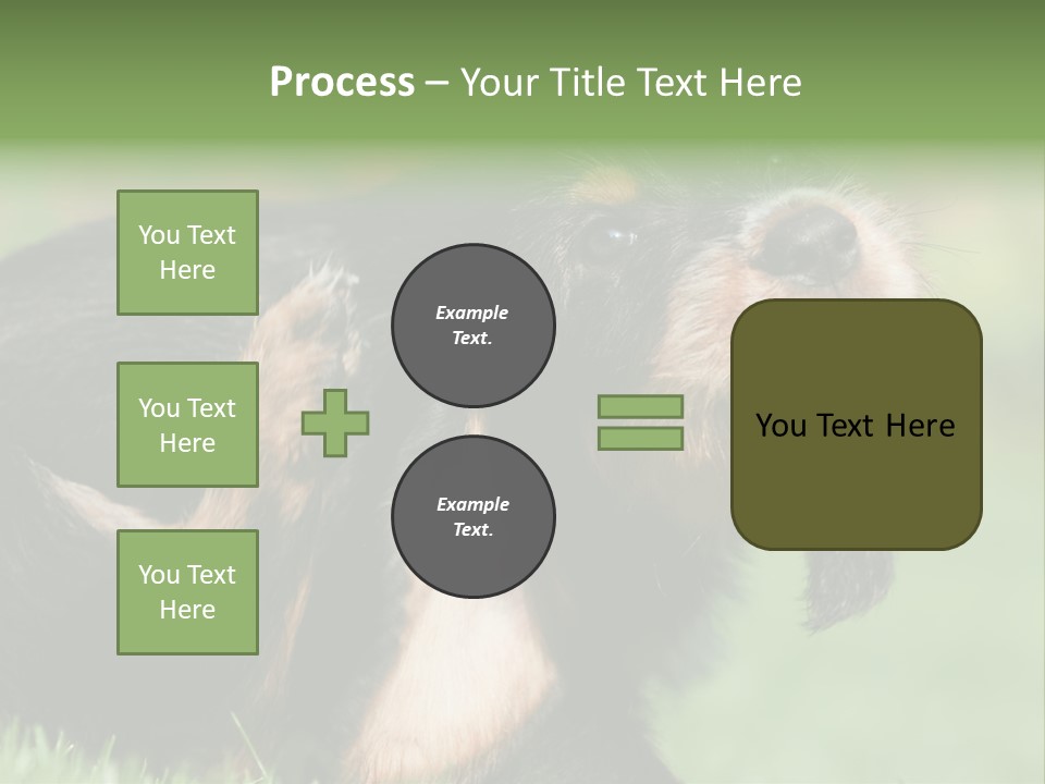 Scratch Puppydog Dog PowerPoint Template