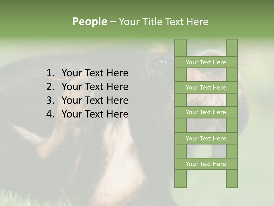 Scratch Puppydog Dog PowerPoint Template