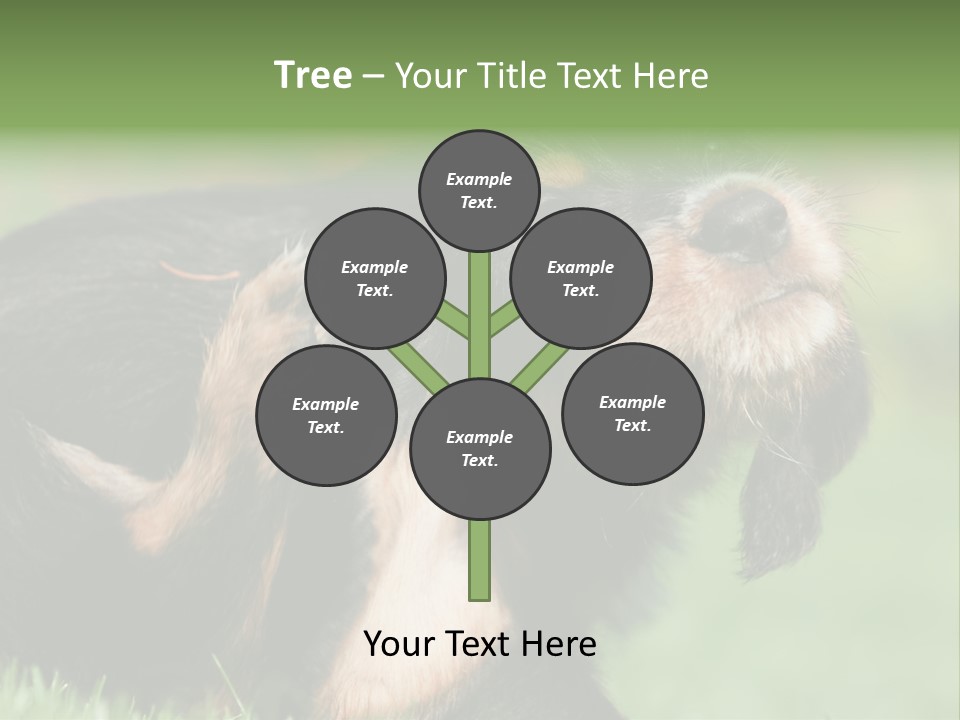 Scratch Puppydog Dog PowerPoint Template