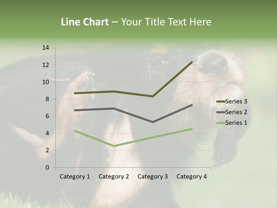 Scratch Puppydog Dog PowerPoint Template