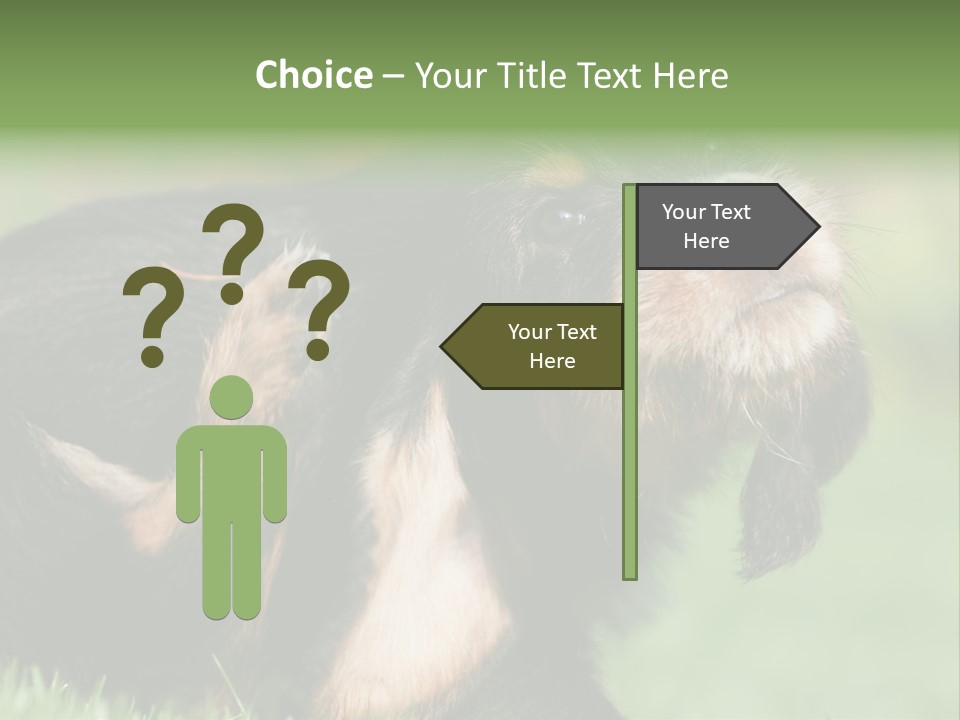 Scratch Puppydog Dog PowerPoint Template