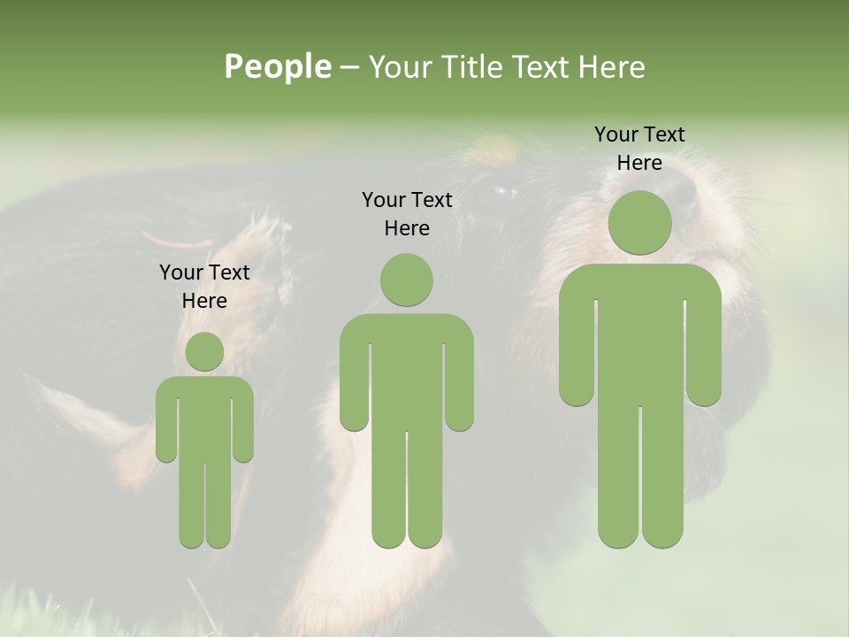 Scratch Puppydog Dog PowerPoint Template