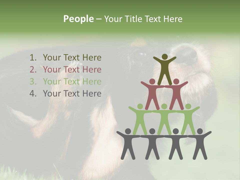 Scratch Puppydog Dog PowerPoint Template