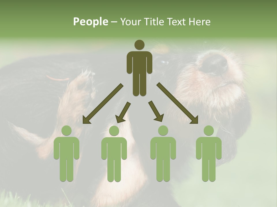 Scratch Puppydog Dog PowerPoint Template